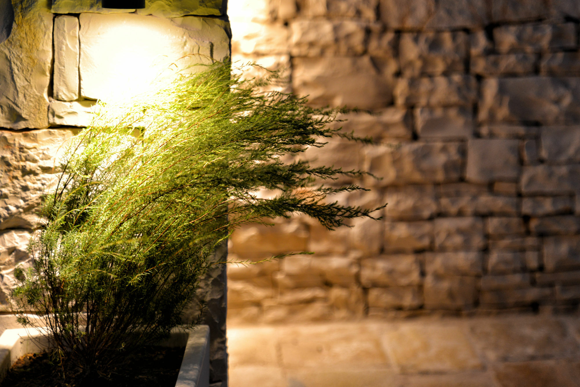 Agriturismo Nonna Rosa มาเตรา ภายนอก รูปภาพ